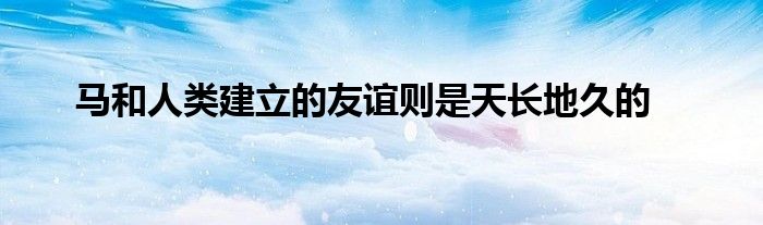 馬和人類建立的友誼則是天長地久的