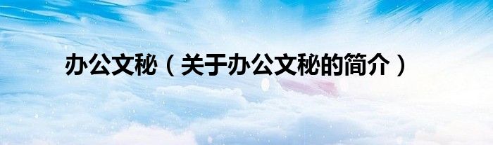 辦公文秘（關(guān)于辦公文秘的簡(jiǎn)介）