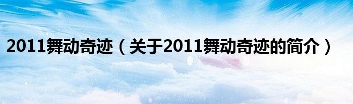 2011舞動奇跡（關于2011舞動奇跡的簡介）