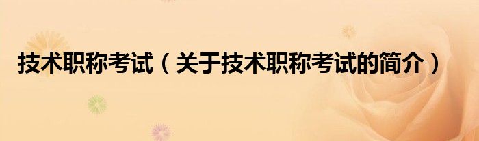 技術(shù)職稱考試（關(guān)于技術(shù)職稱考試的簡(jiǎn)介）