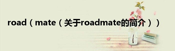 road（mate（關(guān)于roadmate的簡介））