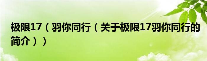 極限17（羽你同行（關(guān)于極限17羽你同行的簡(jiǎn)介））