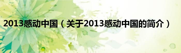 2013感動(dòng)中國(guó)（關(guān)于2013感動(dòng)中國(guó)的簡(jiǎn)介）