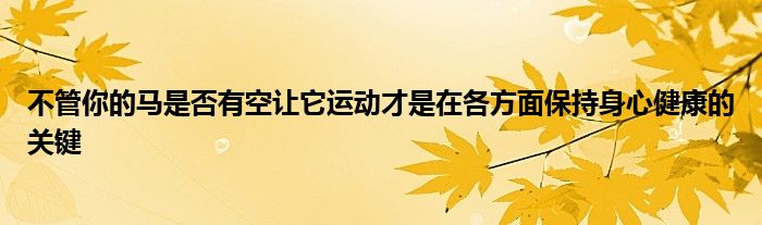 不管你的馬是否有空讓它運(yùn)動才是在各方面保持身心健康的關(guān)鍵