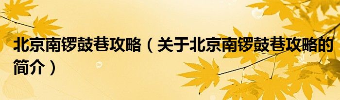 北京南鑼鼓巷攻略（關于北京南鑼鼓巷攻略的簡介）