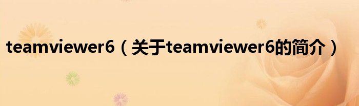 teamviewer6（關(guān)于teamviewer6的簡介）