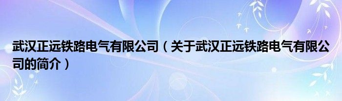 武漢正遠鐵路電氣有限公司（關于武漢正遠鐵路電氣有限公司的簡介）