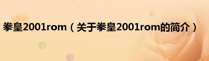 拳皇2001rom（關(guān)于拳皇2001rom的簡介）