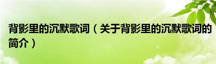 背影里的沉默歌詞（關(guān)于背影里的沉默歌詞的簡介）