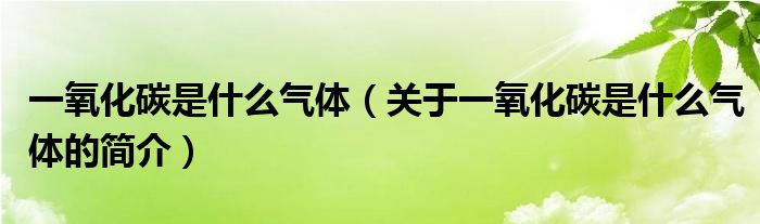 一氧化碳是什么氣體（關(guān)于一氧化碳是什么氣體的簡介）