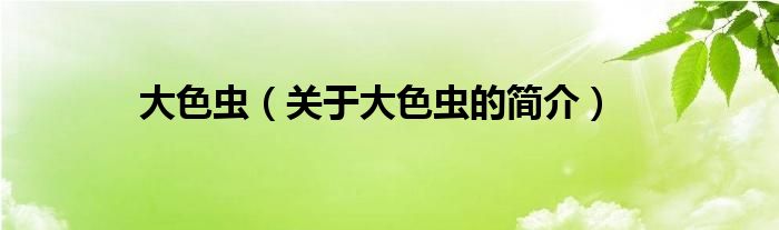 大色蟲（關(guān)于大色蟲的簡(jiǎn)介）