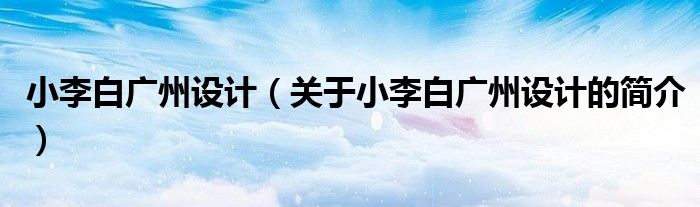 小李白廣州設計（關于小李白廣州設計的簡介）