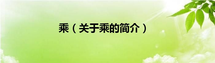 乘（關(guān)于乘的簡(jiǎn)介）