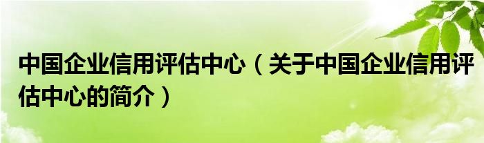 中國企業(yè)信用評估中心（關(guān)于中國企業(yè)信用評估中心的簡介）