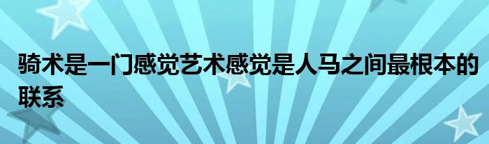 騎術是一門感覺藝術感覺是人馬之間最根本的聯(lián)系