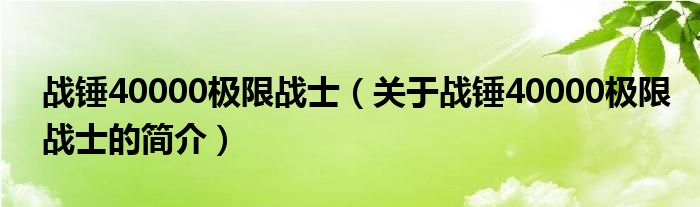 戰(zhàn)錘40000極限戰(zhàn)士（關于戰(zhàn)錘40000極限戰(zhàn)士的簡介）