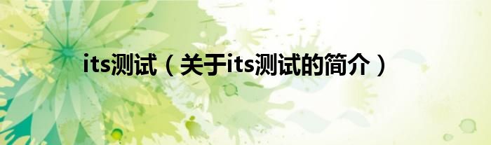 its測(cè)試（關(guān)于its測(cè)試的簡(jiǎn)介）