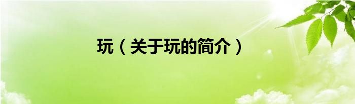 玩（關(guān)于玩的簡(jiǎn)介）