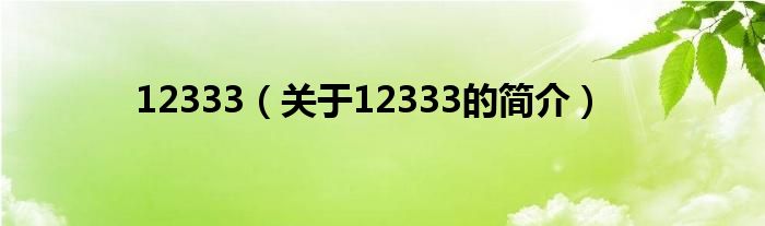 12333（關(guān)于12333的簡介）