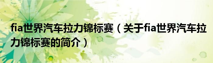 fia世界汽車?yán)﹀\標(biāo)賽（關(guān)于fia世界汽車?yán)﹀\標(biāo)賽的簡介）