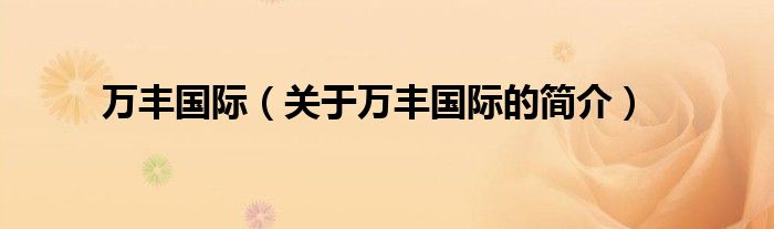 萬豐國(guó)際（關(guān)于萬豐國(guó)際的簡(jiǎn)介）