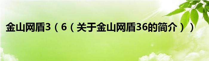 金山網(wǎng)盾3（6（關(guān)于金山網(wǎng)盾36的簡(jiǎn)介））