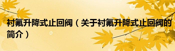 襯氟升降式止回閥（關(guān)于襯氟升降式止回閥的簡(jiǎn)介）