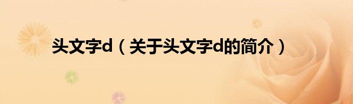 頭文字d（關(guān)于頭文字d的簡(jiǎn)介）