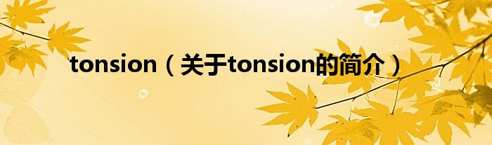 tonsion（關(guān)于tonsion的簡介）