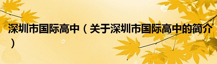 深圳市國(guó)際高中（關(guān)于深圳市國(guó)際高中的簡(jiǎn)介）