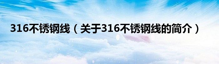 316不銹鋼線（關(guān)于316不銹鋼線的簡介）