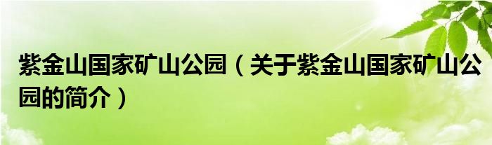 紫金山國(guó)家礦山公園（關(guān)于紫金山國(guó)家礦山公園的簡(jiǎn)介）