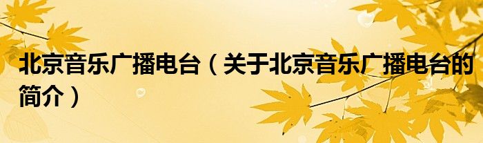 北京音樂廣播電臺（關于北京音樂廣播電臺的簡介）