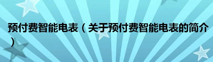 預(yù)付費智能電表（關(guān)于預(yù)付費智能電表的簡介）