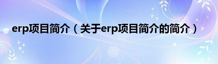 erp項目簡介（關(guān)于erp項目簡介的簡介）