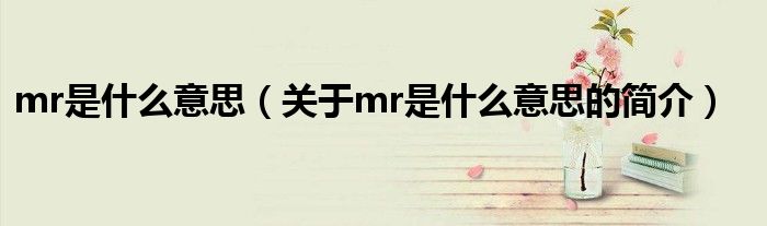 mr是什么意思（關(guān)于mr是什么意思的簡(jiǎn)介）