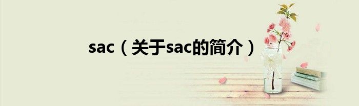 sac（關(guān)于sac的簡(jiǎn)介）