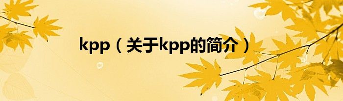 kpp（關于kpp的簡介）