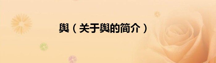 輿（關(guān)于輿的簡(jiǎn)介）