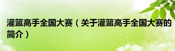 灌籃高手全國(guó)大賽（關(guān)于灌籃高手全國(guó)大賽的簡(jiǎn)介）