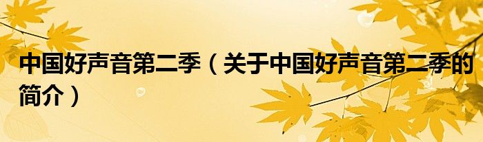 中國(guó)好聲音第二季（關(guān)于中國(guó)好聲音第二季的簡(jiǎn)介）