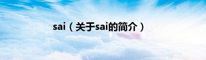 sai（關(guān)于sai的簡(jiǎn)介）