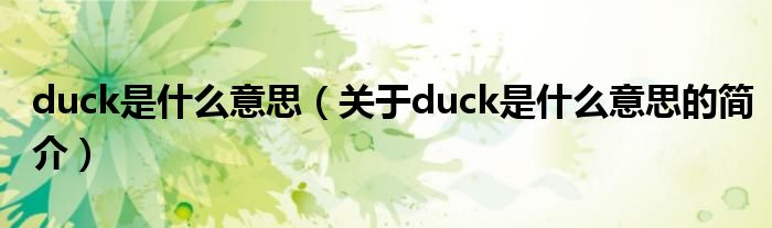 duck是什么意思（關于duck是什么意思的簡介）