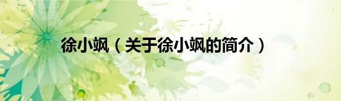 徐小颯（關(guān)于徐小颯的簡(jiǎn)介）