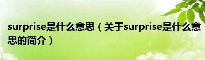 surprise是什么意思（關(guān)于surprise是什么意思的簡介）