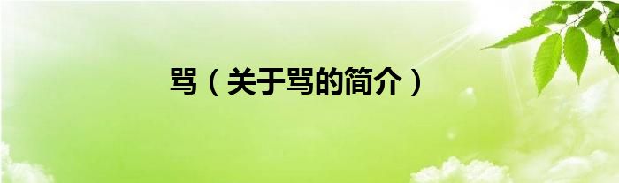 罵（關(guān)于罵的簡介）