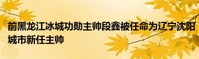 前黑龍江冰城功勛主帥段鑫被任命為遼寧沈陽城市新任主帥