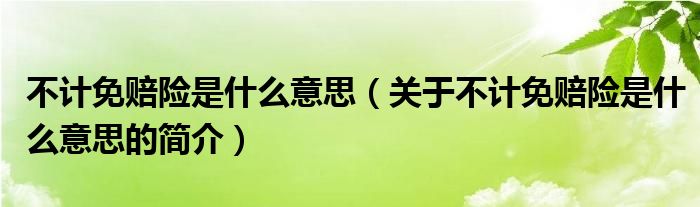 不計(jì)免賠險(xiǎn)是什么意思（關(guān)于不計(jì)免賠險(xiǎn)是什么意思的簡(jiǎn)介）