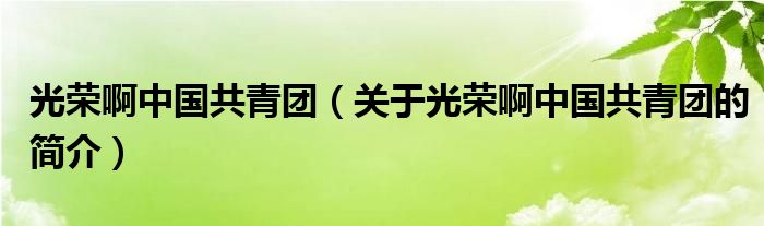 光榮啊中國共青團(tuán)（關(guān)于光榮啊中國共青團(tuán)的簡介）