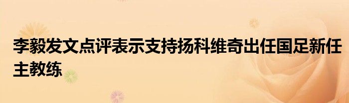 李毅發(fā)文點(diǎn)評(píng)表示支持揚(yáng)科維奇出任國(guó)足新任主教練